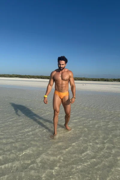Dominic (36 years) — Ciudad de México, México - 22