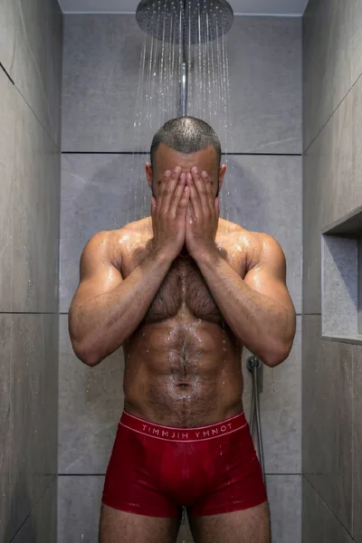 Mijail (30 anos) — Santiago, Chile - 9