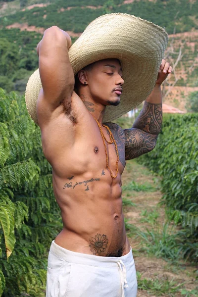 Bruno (32 años) — São Paulo, Brasil - 29