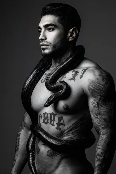 Tadeo (30 years) — Ciudad de México, México - 24
